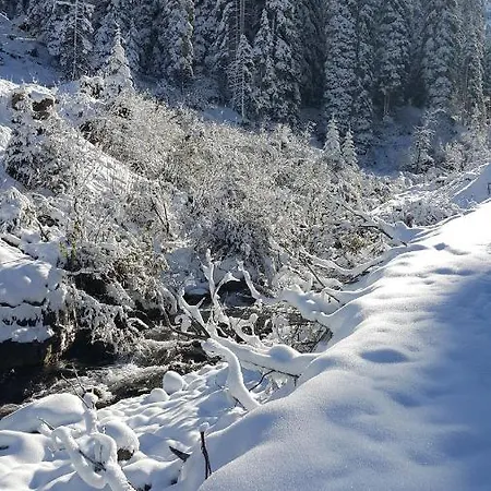 Haus Michael *